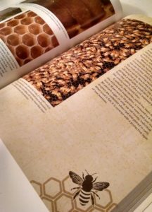 A page layout from the Backyard Beekeeper