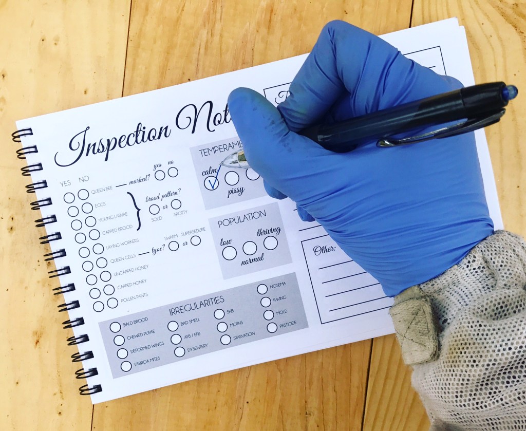 Hive Inspection Booklet