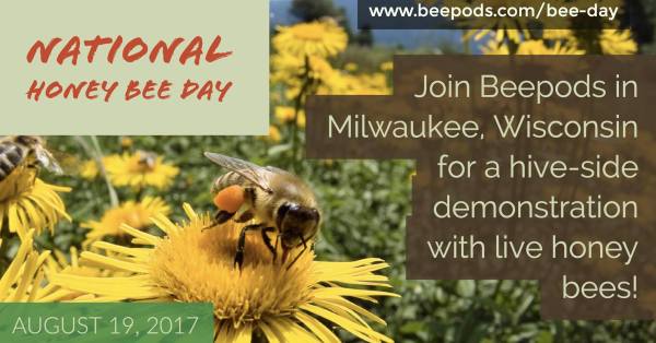 national honey bee awareness day