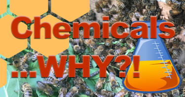 chemicals bees