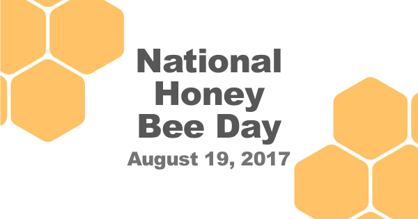 national honey bee day august 19 2017 keeping backyard bees