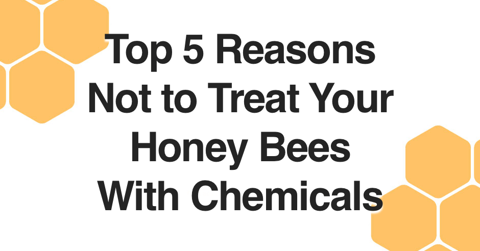 Top 5 Reasons Not to Treat Your Honey Bees With Chemicals